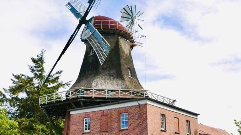foto4