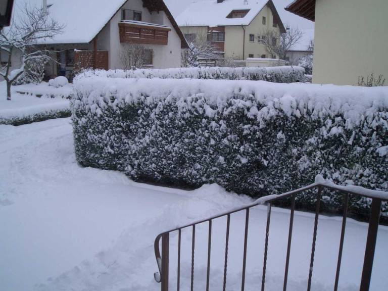 foto22