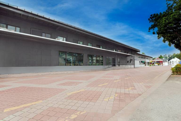 foto4