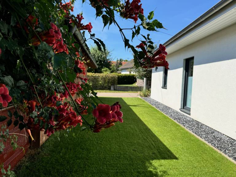 foto29