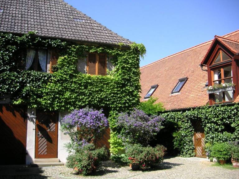 foto16