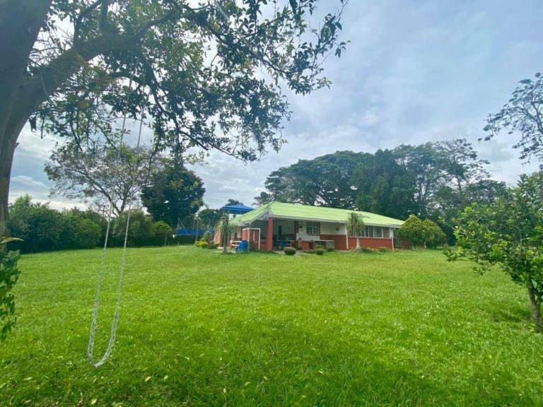 foto14