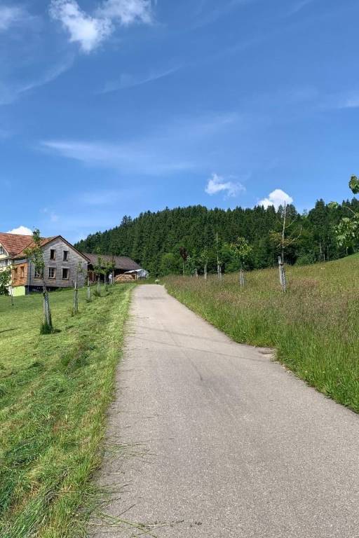 foto17
