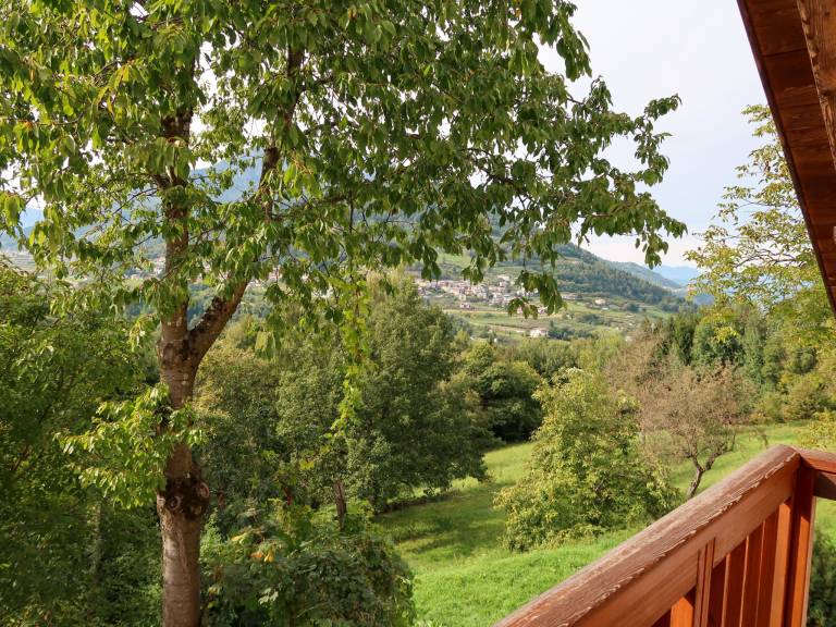 foto16