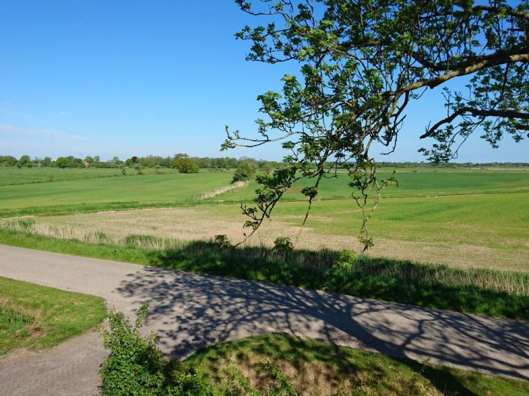 foto20