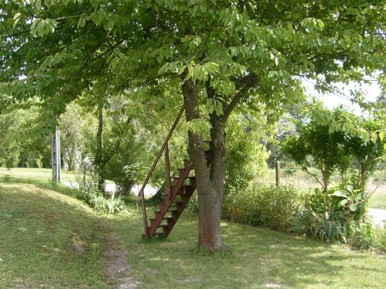 foto29