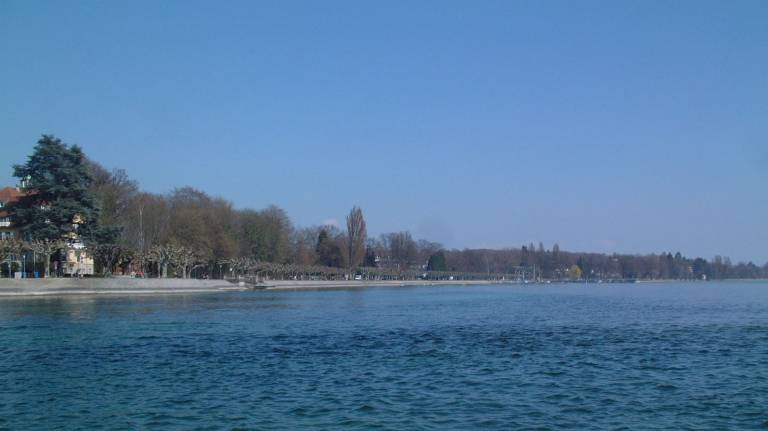 foto36