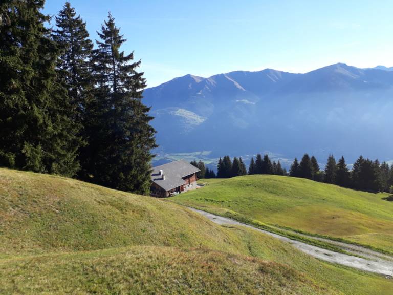 foto1