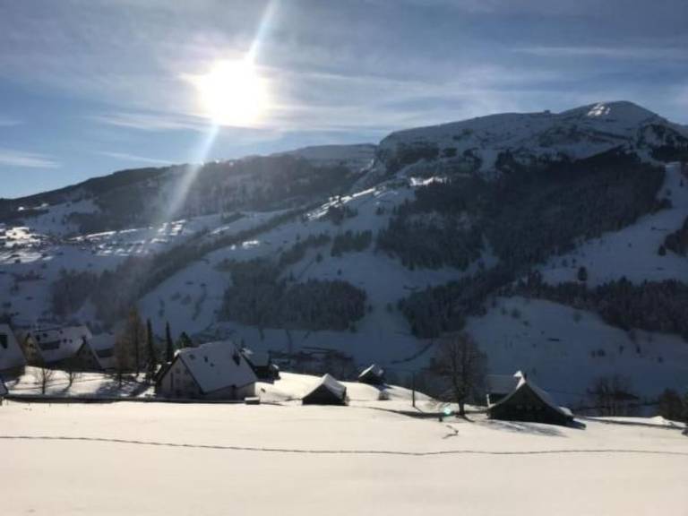 foto41