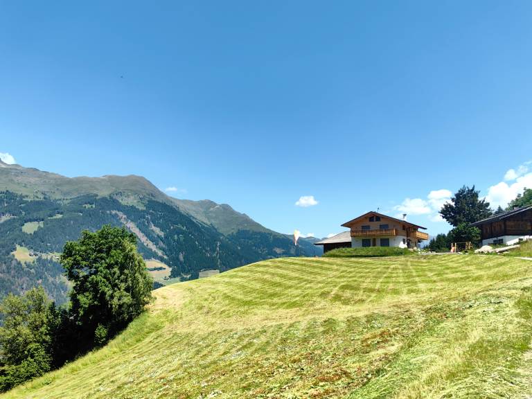 foto3