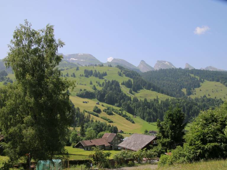 foto46