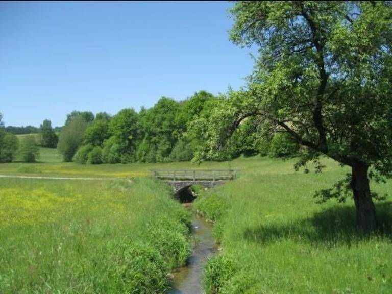 foto14