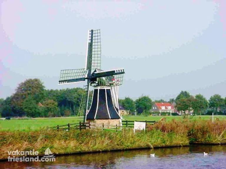 foto12