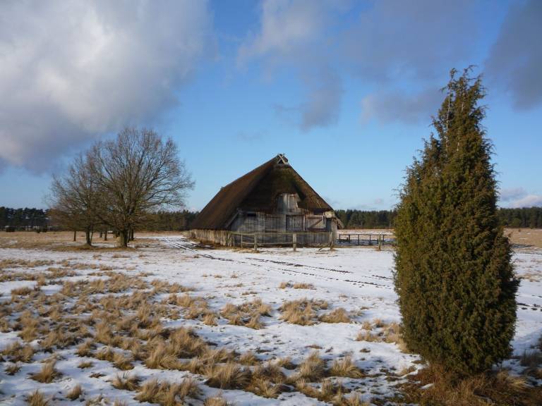 foto20