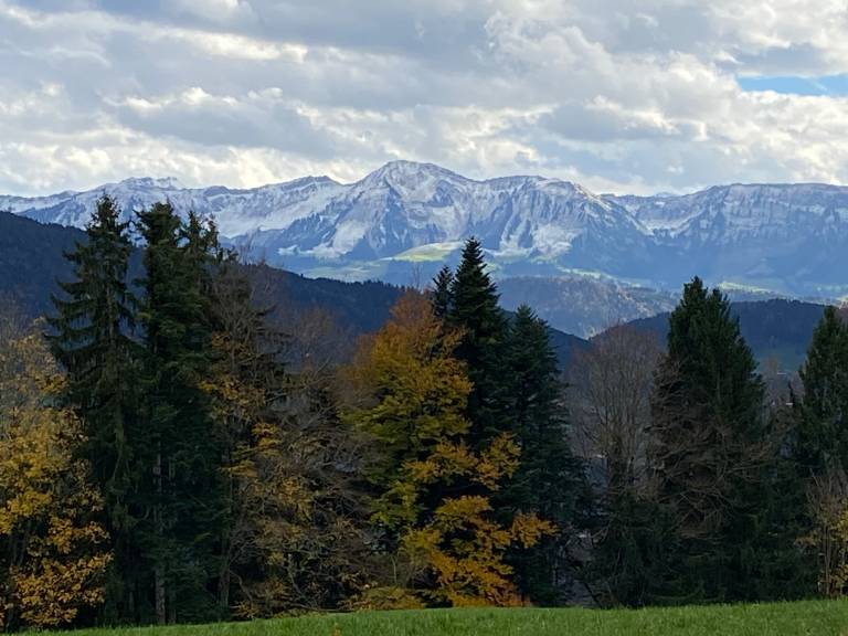 foto16