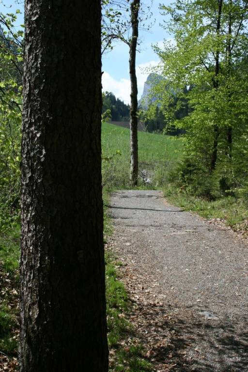 foto33
