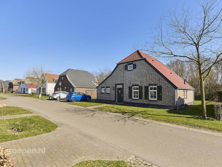 foto11
