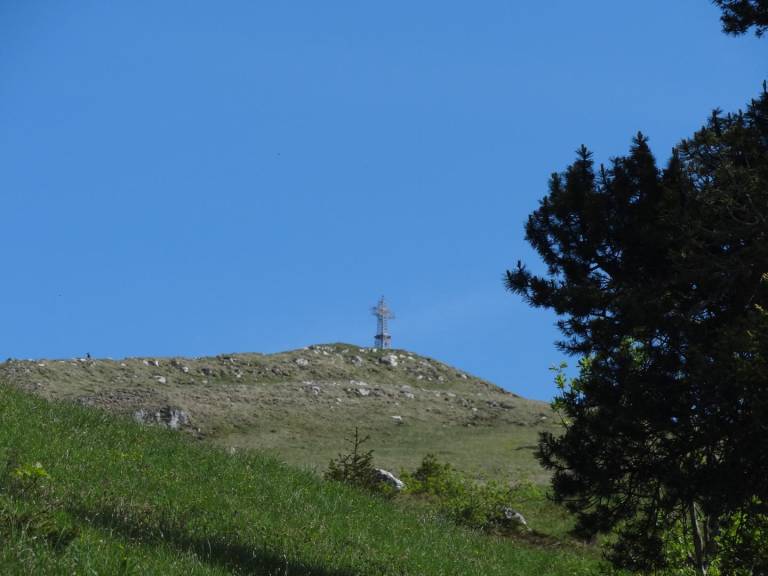 foto15