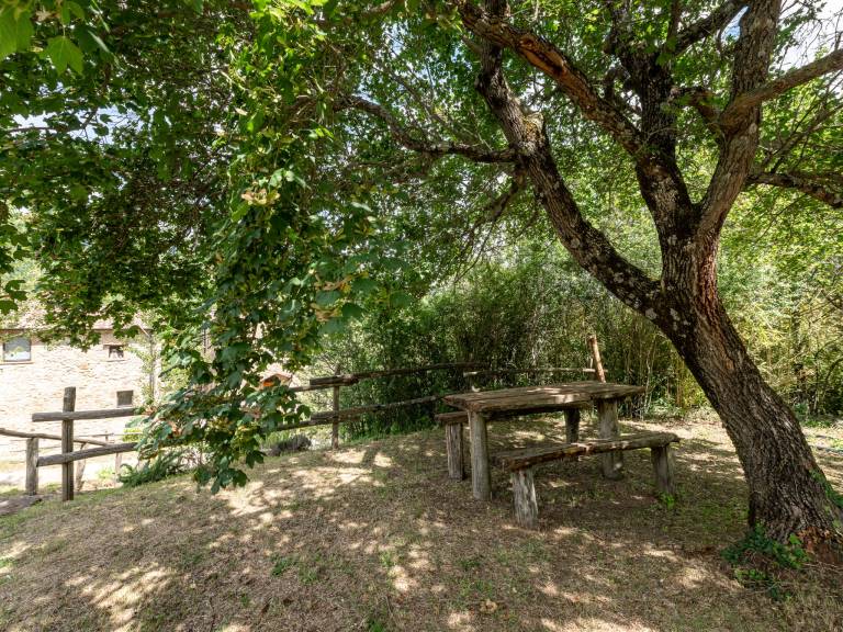 foto43