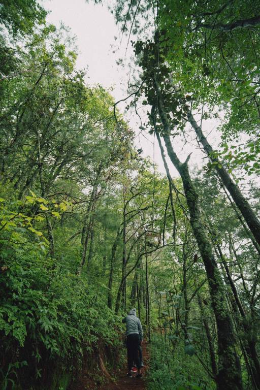 foto14