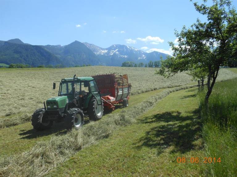 foto20