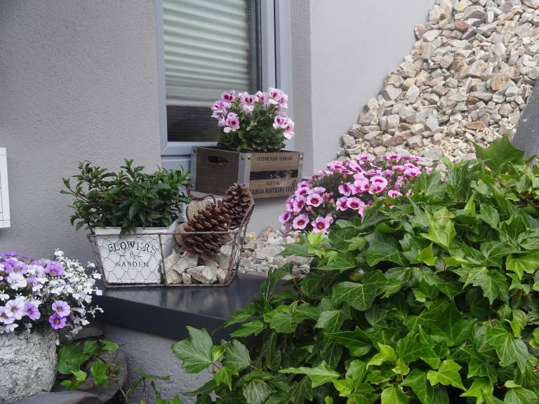 foto20