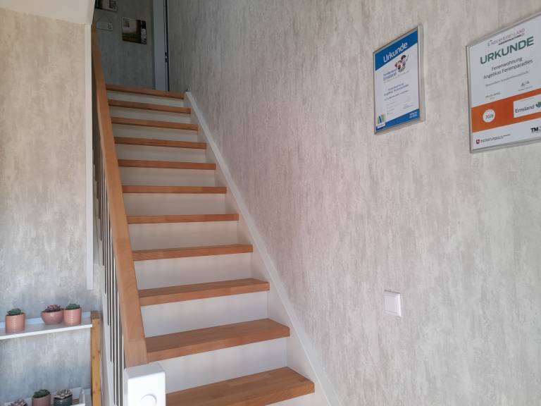foto17