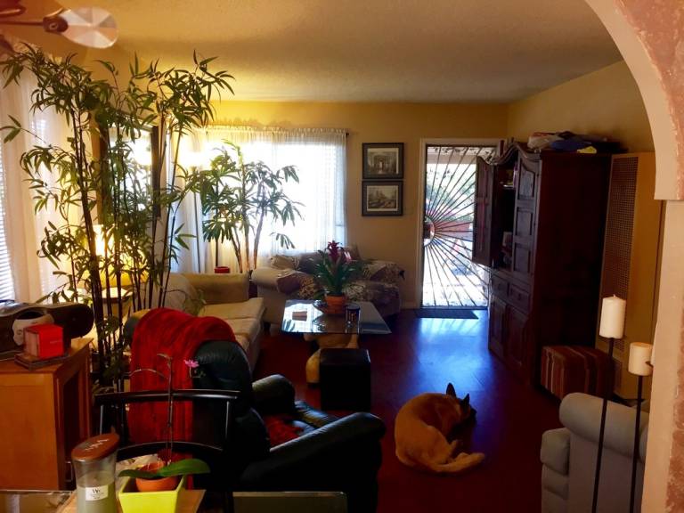 foto9