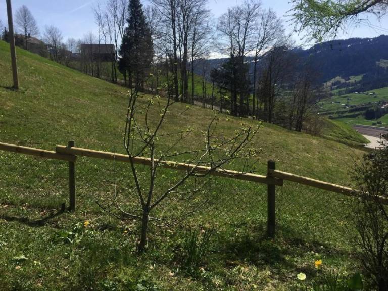 foto10