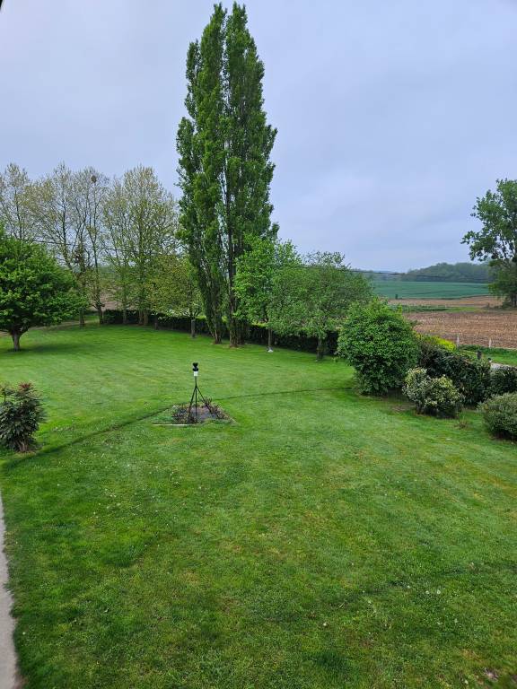 foto21