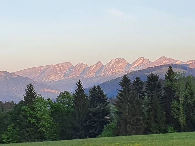 foto14
