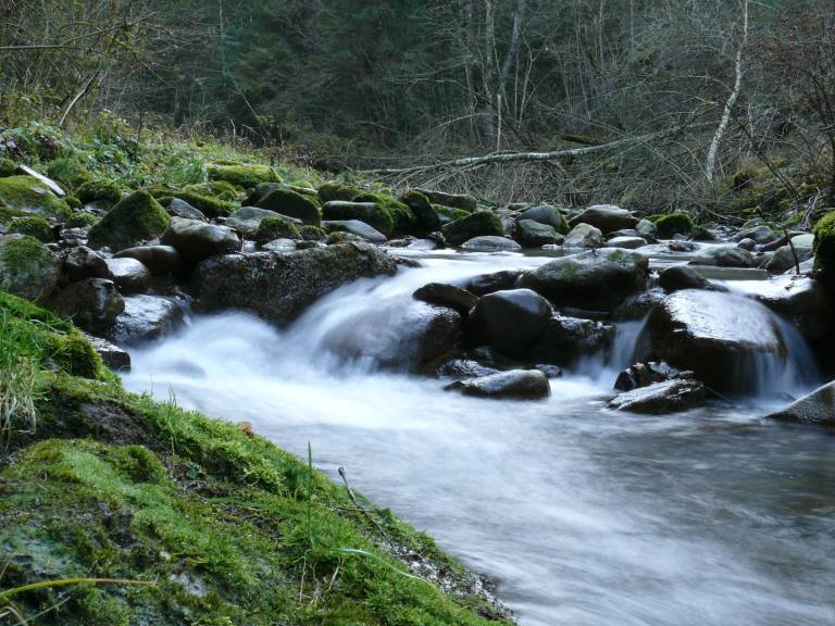 foto11