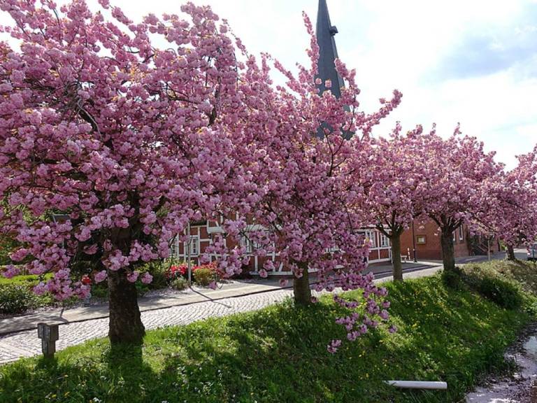 foto31