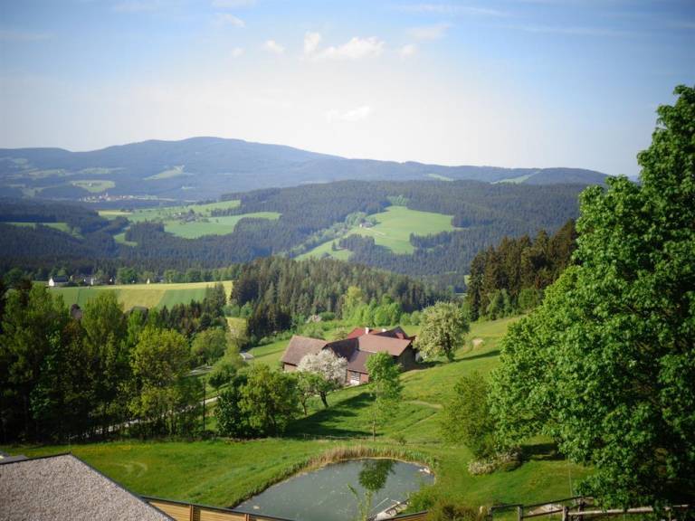 foto23
