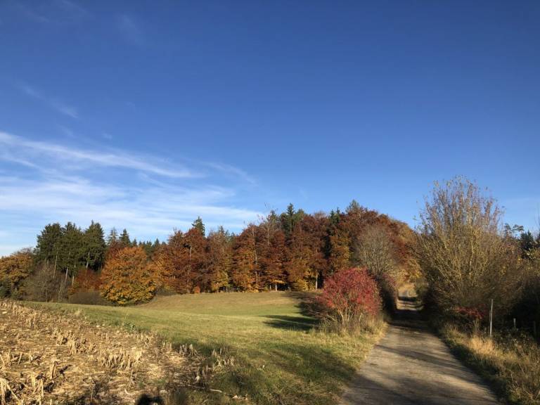 foto11