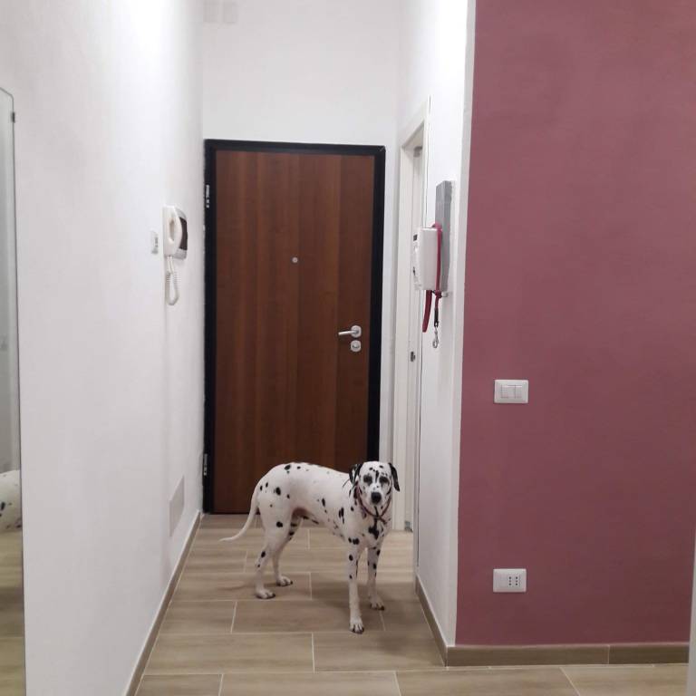 foto23