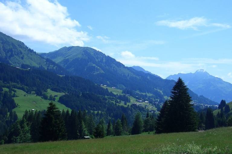foto33