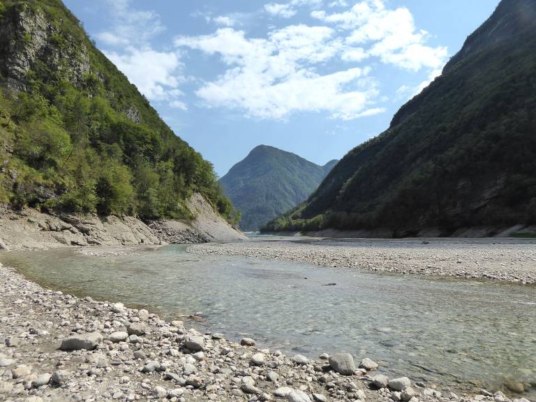 foto41