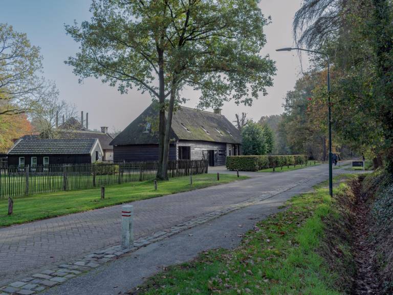 foto25