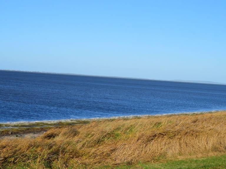 foto11