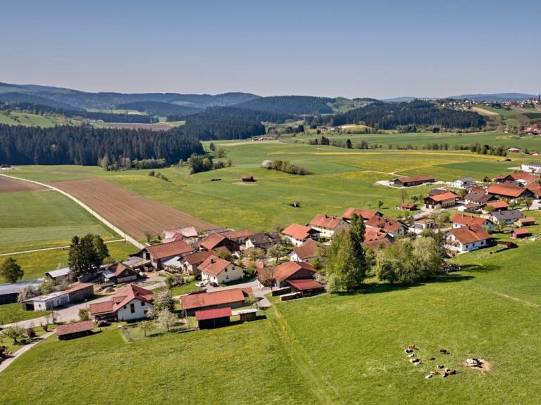 foto10