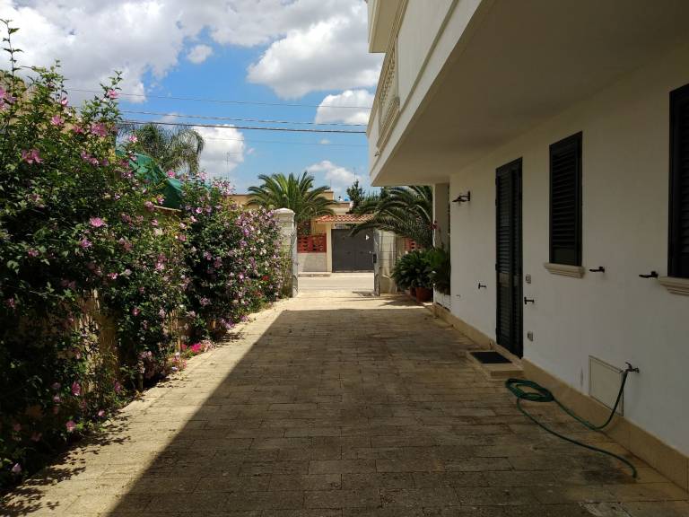 foto12