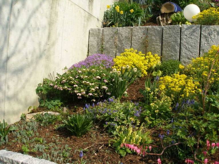 foto32