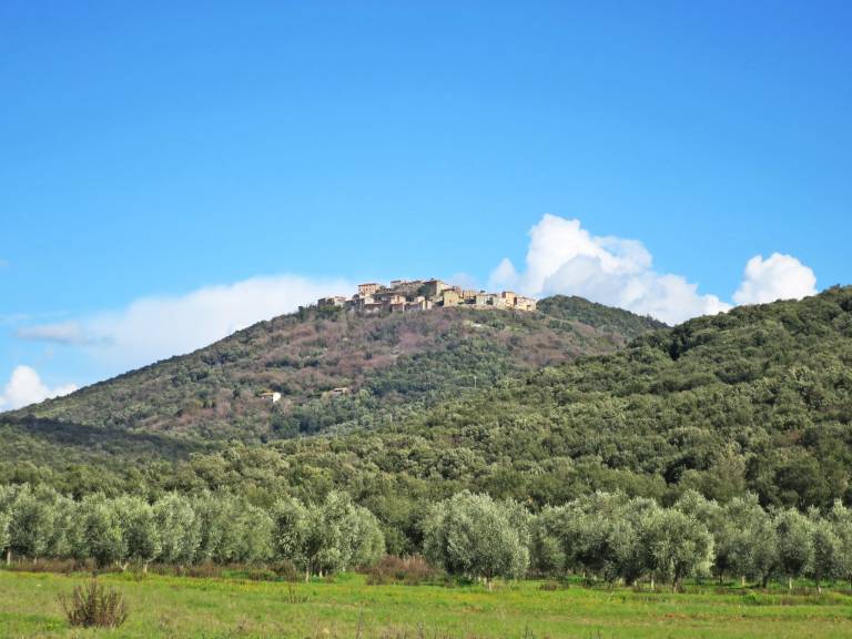 foto41
