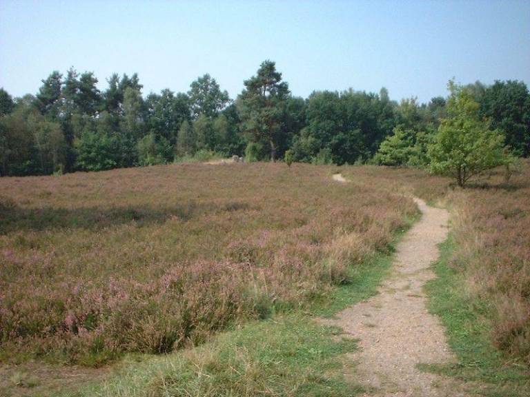 foto17