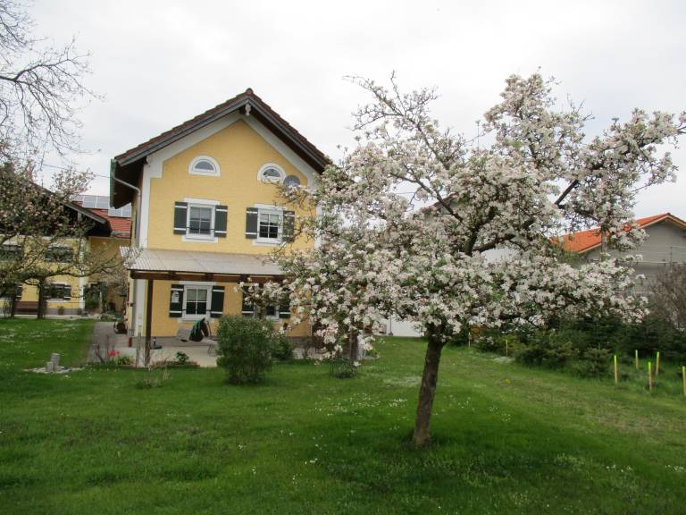 foto17