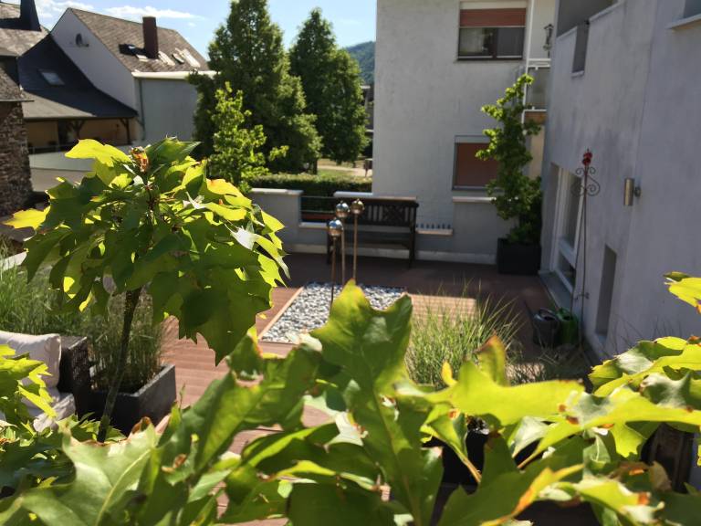 foto11