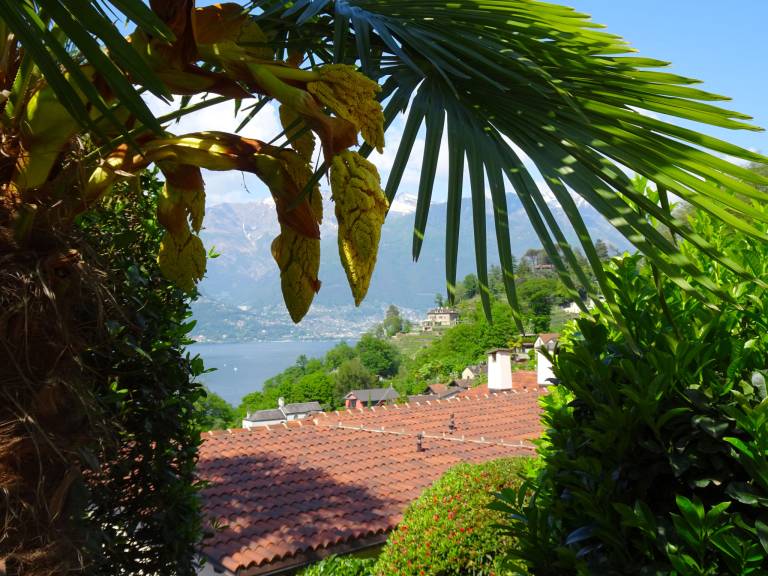 foto26