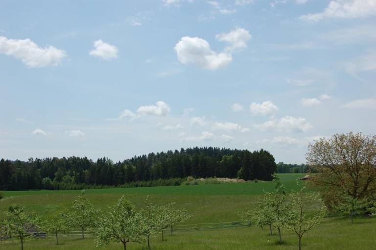 foto6