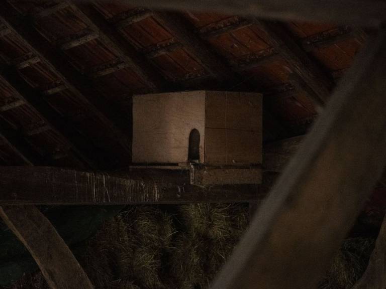 foto32